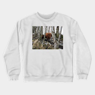 Scottish Highland Cattle Cow and Calf 1597 Crewneck Sweatshirt